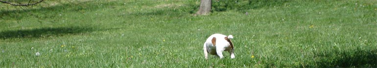 Chat live fuck fuck gay and a man header image 2